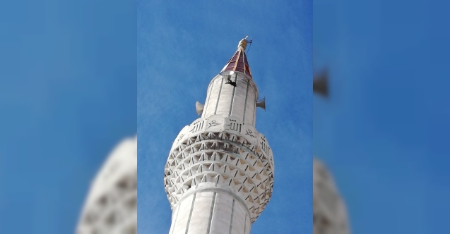 Kırşehir’de minarenin hoparlörüne takılan karga kurtarıldı