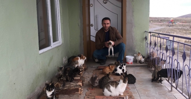 medya gazete