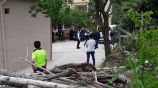 Giresunda cinnet getiren şahıs annesini öldürüp, kardeşini yaraladı