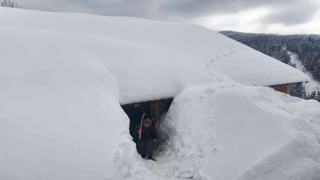 2 metre karda kaybolan evlerinin yolunu açmak için mücadele ediyorlar