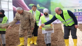 3 milyon aromatik fide tohumu toprakla buluştu