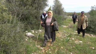 4 gündür kayıp olan 3 çocuk annesi kadın zeytinlikte bulundu