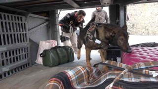 43 ilin geçiş güzergahında sıkı denetim: Narkotik köpeği Adam didik didik arıyor