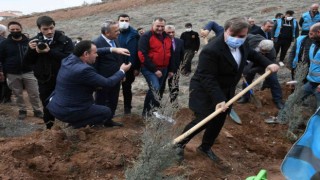Adalet Ormanında 7 bin 500 fidan toprakla buluşturuldu