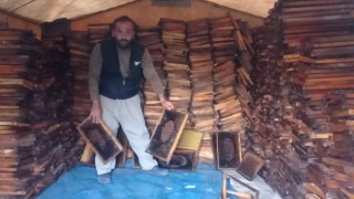 Adanada 500 kovandaki binlerce arı telef oldu