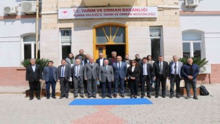 Adanada ki zirai don olaylarının tarımsal üretime zararı değerlendirildi
