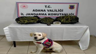 Adanada uyuşturucu operasyonu: 1 gözaltı