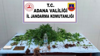 Adanada uyuşturucu operasyonu