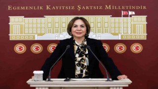 AK Partili Yılmaz: Çiftçi ve üreticilerimize yaklaşık 200 milyon lira destek yapılacak