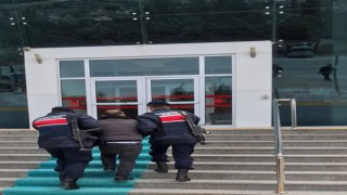 Akaryakıt hırsızlığı şüphelisi tutuklandı