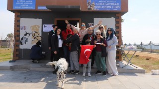 Akdeniz Belediyesi Sokak Hayvanları Kısırlaştırma Kliniği Açılıyor