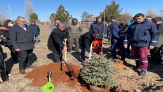 Altıntaş MYOda ağaç dikim etkinliği