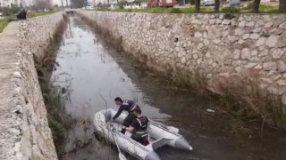 Antalyada kanala düşen köpek, ekipleri peşine taktı