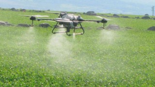 Arabanda sarımsak tarlaları dronla ilaçlandı