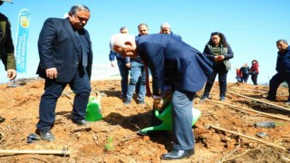 Avni Burak Yenice için hatıra ormanı