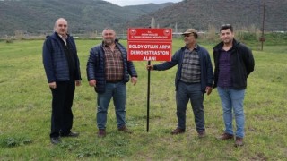 Aydında yerli tohum kullanımının arttırılmasına yönelik çalışmalar sürüyor