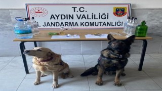 Aydındaki uyuşturucu operasyonlarında 4 şüpheli tutuklandı