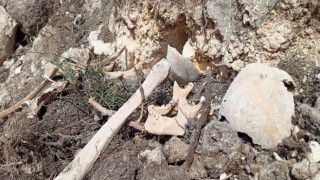 Azerbaycanın Ferruh köyünde yeni insan iskeletleri bulundu