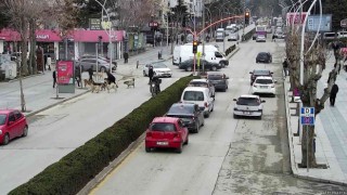 Başkan yardımcısı saldırıya uğrayan köpeği böyle kurtardı