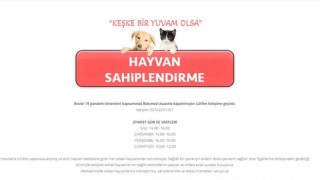 Belediyeden yeni uygulama