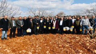 Besnide ki Antepfıstığı üreticilerine tuzak dağıtıldı