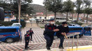 Bilecikte jandarmanın yakaladığı 4 hırsız tutuklandı