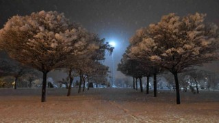 Bitlis bahara hasret kaldı