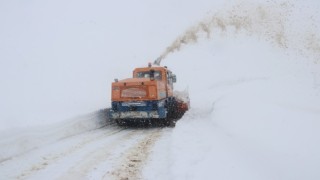 Bitliste karla mücadelede çalışmaları tüm hızıyla devam ediyor