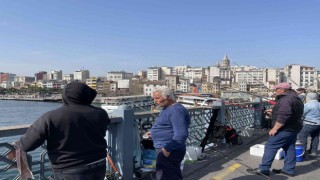Boğazda dikkat çeken istavrit bolluğu