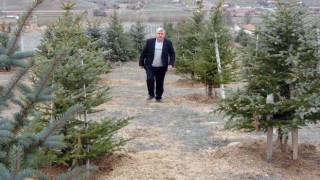 Bozkırı yeşillendiren ‘Oksijen Adam 300 bin fidanı toprakla buluşturdu