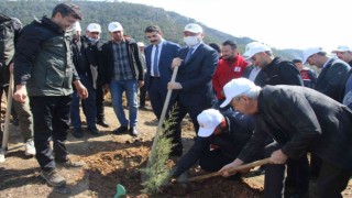 Bozyazıda fidan dikim etkinliği