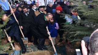 Bursada 21 bin fidan toprakla buluştu