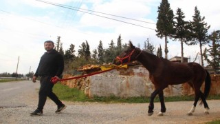 Çaldığı atla markete girip attan kasada indi