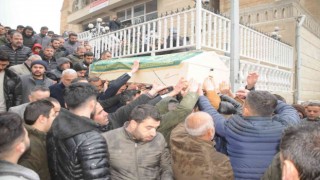 Cizreden Ankaraya araba almaya gitti, cenazesi geldi