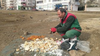 Çöplerdeki ekmeklerle 12 yıldır kuşları besliyor