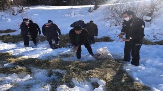 Dadayda yaban hayvanları için doğaya yem bırakıldı