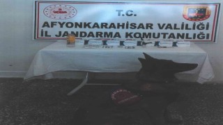 Devriye gezen jandarma uyuşturucu ele geçirdi