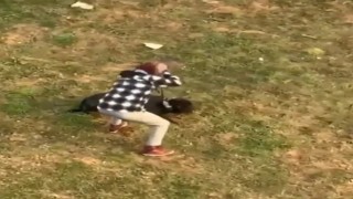Düzcede köpeğe şiddet uygulayan şahıs gözaltına alındı