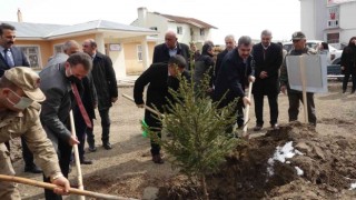 Ercişte fidan dikimi