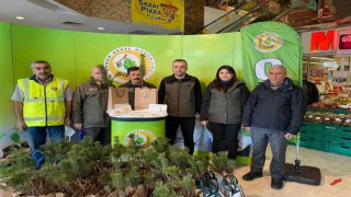 Fatsada ücretsiz olarak 2 bin fidan dağıtıldı
