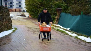 Felçli köpeği hayata bağlayan sevgi