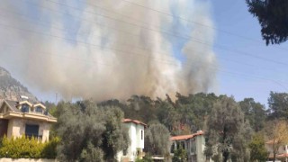 Fethiyede orman yangını