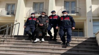 Firari hükümlüyü Jandarma yakaladı