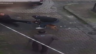 Güngörende pitbul dehşeti, pitbulun ısırdığı genci zor kurtardılar