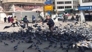 Güvercinlerin arasında yapılan besleme görenleri gülümsetti