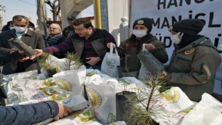 Hanönüde vatandaşlara ücretsiz fidan dağıtıldı