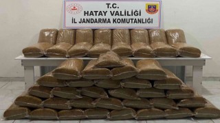 Hatayda 230 kilogram kaçak tütün ele geçirildi