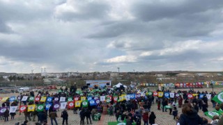 HDP, Diyarbakırın ilçelerinde katılım az olunca Nevruz kutlamalarını iptal etti