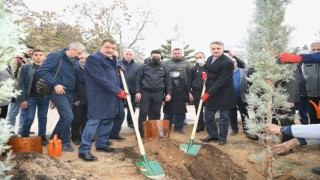 Hemşehri dernekleri fidan dikti