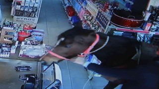Hırsızın çaldığı atla markete daldığı anlar kamerada